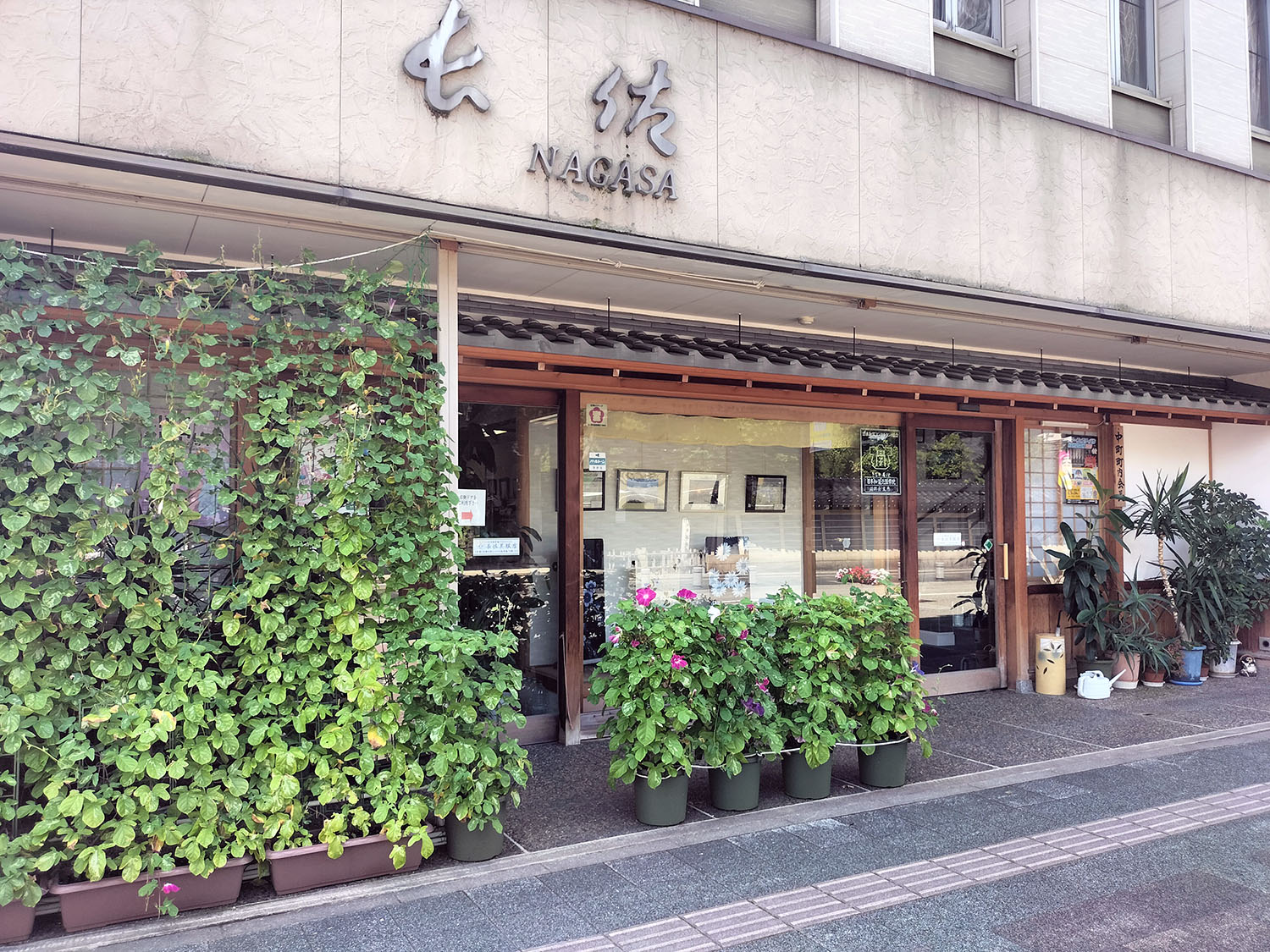 あさがお写真1