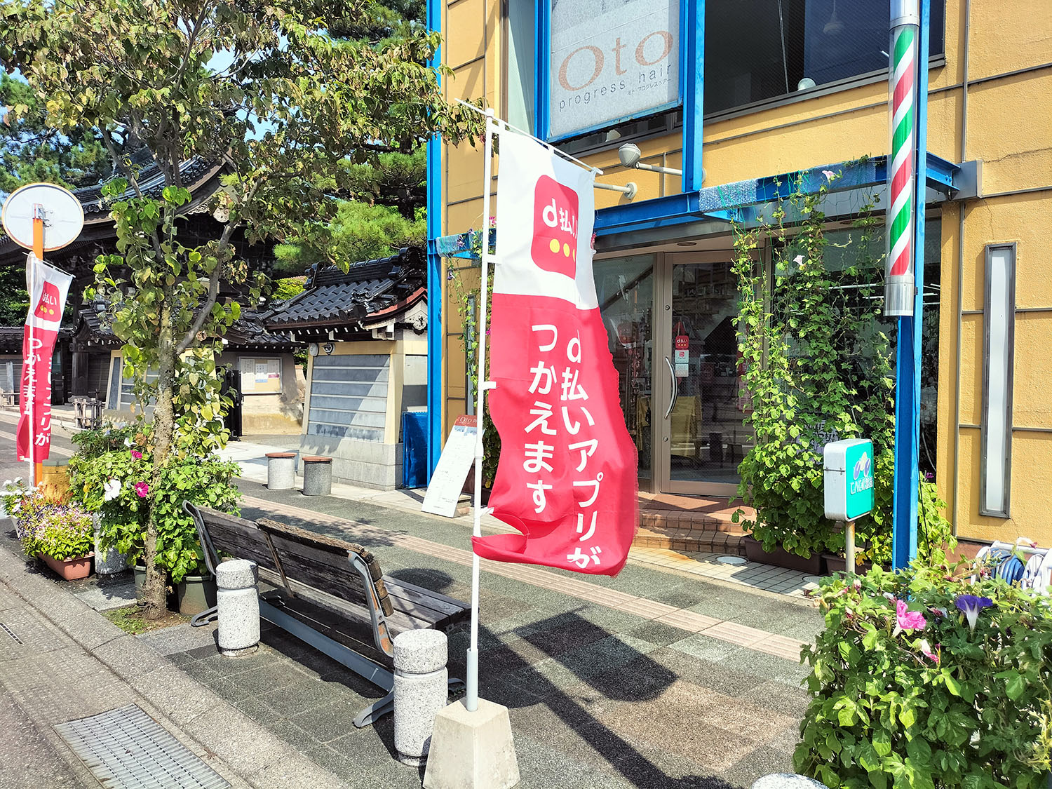 あさがお写真3